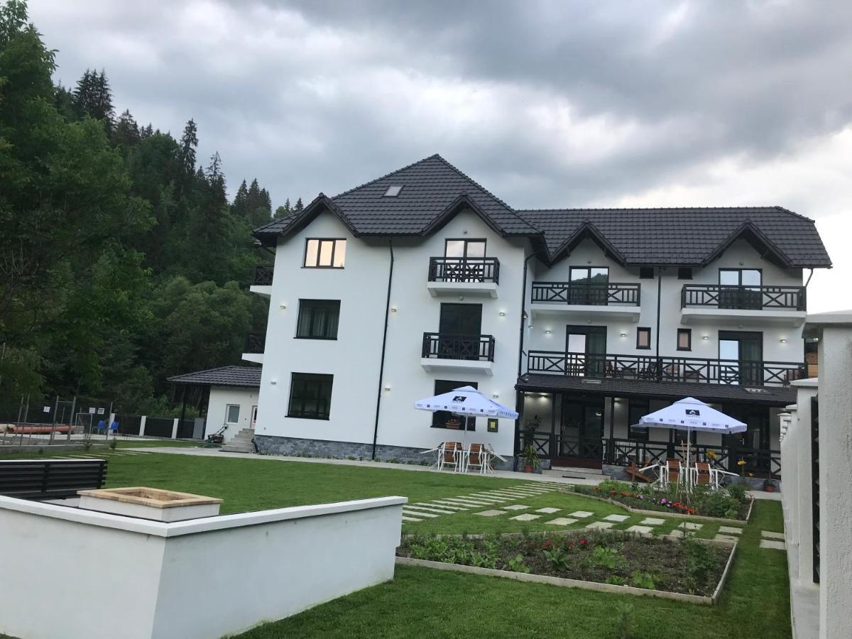 Pensiunea Edelweiss Voineasa Buitenkant foto